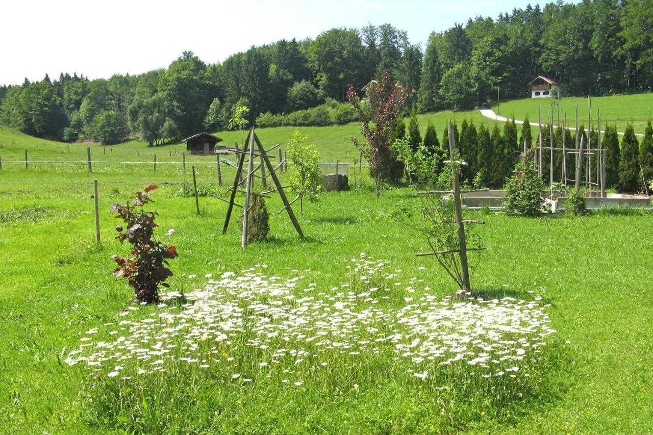 Ferienwohnungen Wanderparadies Aschau im Chiemgau Exterior photo